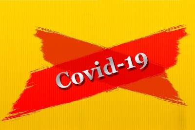 COVID-19 в Бурятии: умерло 2 пациента, заболели – 113 - ulan.mk.ru - Улан-Удэ - респ.Бурятия