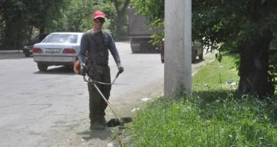 Какая ситуация в Луганске с травой. Кто косит, а кто откосил - cxid.info - Луганск