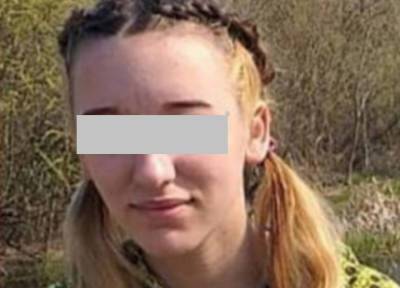 Раскрыто убийство найденной за гаражами в Липецке 18-летней девушки - province.ru - Россия - Липецк