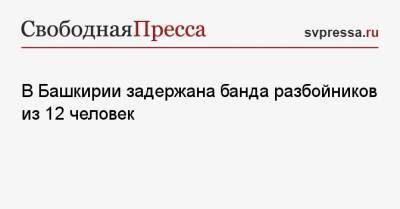 В Башкирии задержана банда разбойников из 12 человек - svpressa.ru - Москва - Ленинградская обл. - Башкирия - Санкт-Петербург - Уфа