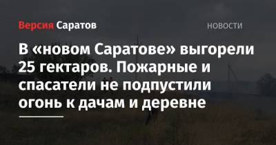 В «новом Саратове» выгорели 25 гектаров. Пожарные и спасатели не подпустили огонь к дачам и деревне - nversia.ru - Саратовская обл.