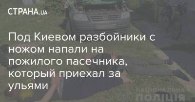 Под Киевом разбойники с ножом напали на пожилого пасечника, который приехал за ульями - strana.ua - Украина - Киев - Киевская обл. - Нападение