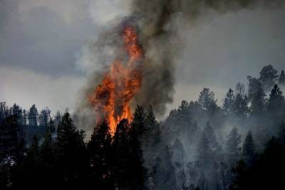 В Башкирии продолжают гореть леса на площади свыше 1,4 тысяч гектаров - ufa.mk.ru - Башкирия - район Учалинский