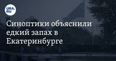 Галина Шепоренко - Синоптики объяснили едкий запах в Екатеринбурге - ura.news - Екатеринбург - Свердловская обл.