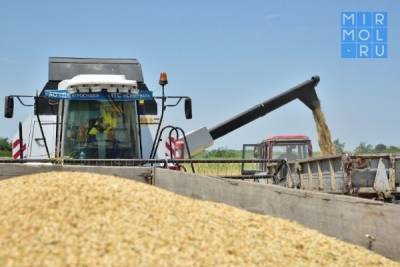 Аграрии Дагестана на 3% увеличили урожай зерновых культур - mirmol.ru - респ. Дагестан