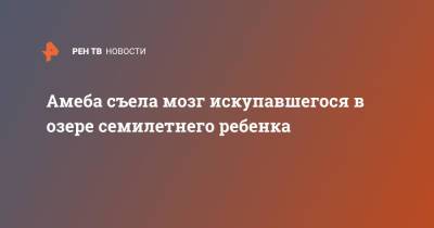 Амеба съела мозг искупавшегося в озере семилетнего ребенка - ren.tv - США - шт. Калифорния