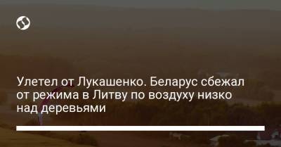 Александр Лукашенко - Улетел от Лукашенко. Беларус сбежал от режима в Литву по воздуху низко над деревьями - liga.net - Украина - Литва - Минск