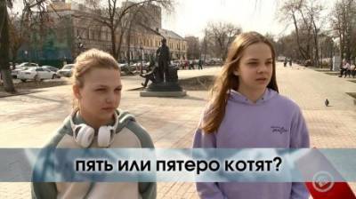 Пять или пятеро котят? - penzainform.ru