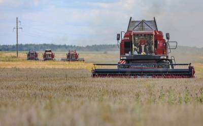 Александр Субботин - Белорусские аграрии намолотили более 5,8 млн тонн зерна - grodnonews.by - Белоруссия