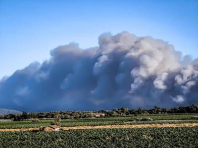Жеральд Дарманен - На юге Франции вспыхнул масштабный лесной пожар: эвакуированы тысячи жителей - unn.com.ua - Украина - Киев - Франция