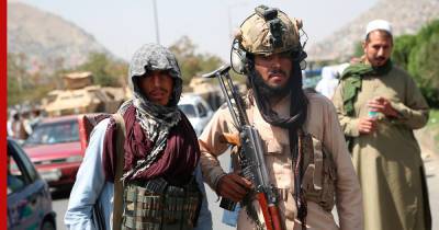 Талибы объявили амнистию для чиновников Афганистана - profile.ru - Франция - Афганистан
