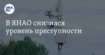 В ЯНАО снизился уровень преступности - ura.news - Россия - окр. Янао