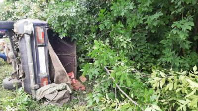 В Воронежской области 89-летний водитель вылетел в кювет: пострадали двое - vestivrn.ru - Воронеж - Воронежская обл.