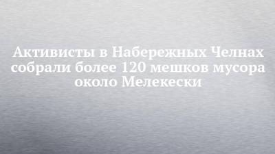 Активисты в Набережных Челнах собрали более 120 мешков мусора около Мелекески - chelny-izvest.ru - Россия - Набережные Челны - Экология