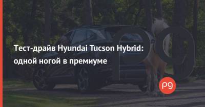 Тест-драйв Hyundai Tucson Hybrid: одной ногой в премиуме - thepage.ua - США - Украина - Киев - Колумбия - Канада - Эквадор - Аргентина - Чили