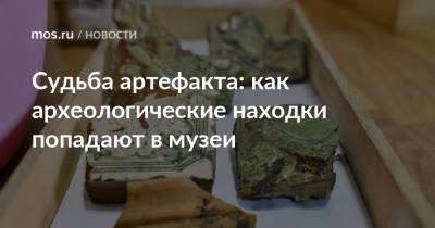 Судьба артефакта: как археологические находки попадают в музеи - mos.ru - Москва