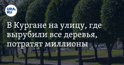 В Кургане на улицу, где вырубили все деревья, потратят миллионы - ura.news - Курган