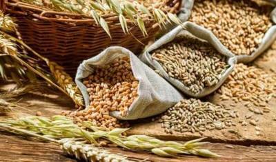 Эксперты не считают, что хороший урожай зерна отразится на ценах на продукты - newizv.ru - Россия