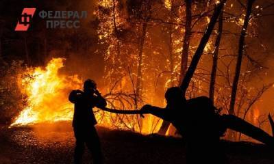 «Не оценили угрозу вовремя»: чем для Поволжья обернутся небывалые лесные пожары в Башкирии - fedpress.ru - Башкирия - респ. Саха - Экология
