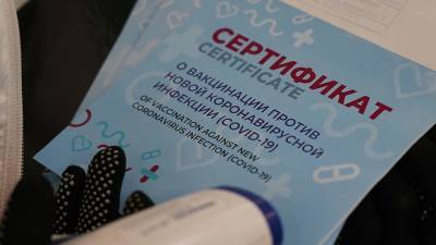 Сергей Лавров - Лавров позитивно оценил переговоры с ЕС по признанию сертификатов - iz.ru - Россия - Израиль