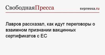 Сергей Лавров - Лавров рассказал, как идут переговоры о взаимном признании вакцинных сертификатов с ЕС - svpressa.ru - Россия - США - Афганистан