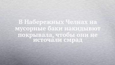 В Набережных Челнах на мусорные баки накидывют покрывала, чтобы они не источали смрад - chelny-izvest.ru - Набережные Челны