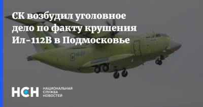 Николай Куимов - Дмитрий Комаров - Николай Хлудеев - СК возбудил уголовное дело по факту крушения Ил-112В в Подмосковье - nsn.fm - Россия - Московская обл. - район Одинцовский