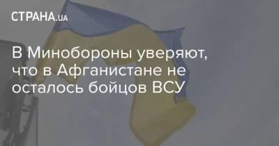 Анна Маляр - В Минобороны уверяют, что в Афганистане не осталось бойцов ВСУ - strana.ua - Украина - Афганистан - Минобороны - Талибан