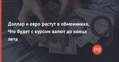Доллар и евро растут в обменниках. Что будет с курсом валют до конца лета - thepage.ua - Украина - Киев