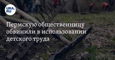 Пермскую общественницу обвинили в использовании детского труда - ura.news