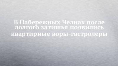В Набережных Челнах после долгого затишья появились квартирные воры-гастролеры - chelny-izvest.ru - Россия - Набережные Челны - Гэс - Пермский край