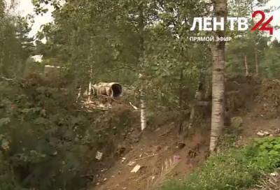 Гендиректор Регоператора Ленобласти вышел в прямой эфир ЛенТВ24 - online47.ru - Ленинградская обл.