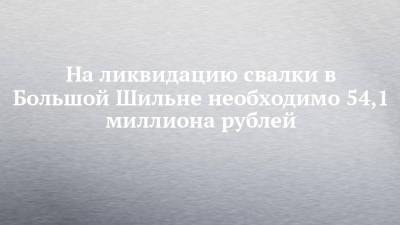 На ликвидацию свалки в Большой Шильне необходимо 54,1 миллиона рублей - chelny-izvest.ru - Россия - Набережные Челны - Экология