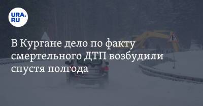 В Кургане дело по факту смертельного ДТП возбудили спустя полгода - ura.news - Россия - Курган