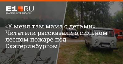 «У меня там мама с детьми». Читатели рассказали о сильном лесном пожаре под Екатеринбургом - e1.ru - Екатеринбург