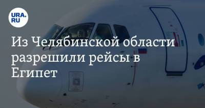 Из Челябинской области разрешили рейсы в Египет - ura.news - Египет - Челябинская обл. - Челябинск - Магнитогорск
