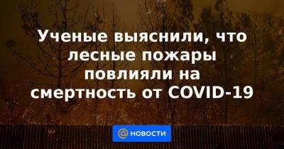 Ученые выяснили, что лесные пожары повлияли на смертность от COVID-19 - news.mail.ru - США