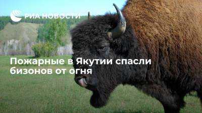 В Якутии пожарные предотвратили распространение огня на территорию обитания бизонов - ria.ru - Москва - Россия - респ. Саха - Канада