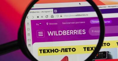 Эксперт рассказал, как Visа может "наказать" Wildberries за введение комиссии - reendex.ru