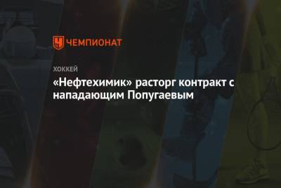 «Нефтехимик» расторг контракт с нападающим Попугаевым - championat.com - Москва - Московская обл.