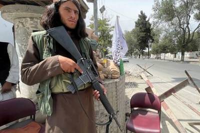 Забихулла Муджахида - «Талибан» заявил о прекращении производства наркотиков - lenta.ru - Россия - New York - Афганистан