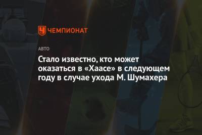 Антонио Джовинацци - Гюнтер Штайнер - Мик Шумахер - Маттиа Бинотто - Стало известно, кто может оказаться в «Хаасе» в следующем году в случае ухода М. Шумахера - championat.com