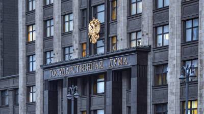 Анна Кузнецова - Светлана Бессараб - Депутат Госдумы Бессараб прокомментировала ситуацию с поддержкой многодетных семей - russian.rt.com - Россия