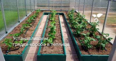 Устанавливаем грядки-короба в теплице - skuke.net