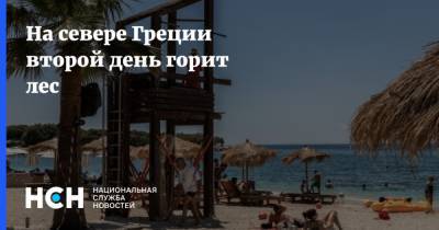 На севере Греции второй день горит лес - nsn.fm - Италия - Турция - Греция - Черногория