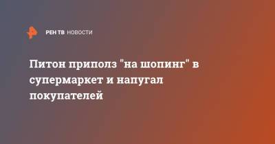 Питон приполз "на шопинг" в супермаркет и напугал покупателей - ren.tv - Австралия