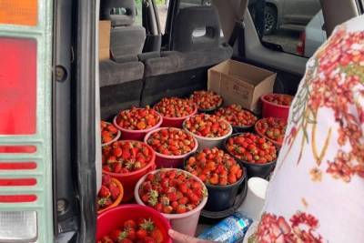 Читинка заявила о 116 пострадавших от обмана при продаже клубники - chita.ru - Россия - Забайкальский край - Чита