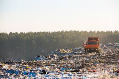 В Кузбассе планируют построить комплекс по обработке мусора за 1,74 млрд рублей - gazeta.a42.ru - Москва - Кемеров - округ Топкинский