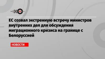 ЕС созвал экстренную встречу министров внутренних дел для обсуждения миграционного кризиса на границе с Белоруссией - echo.msk.ru - Белоруссия - Ирак - Литва - Минск - Брюссель