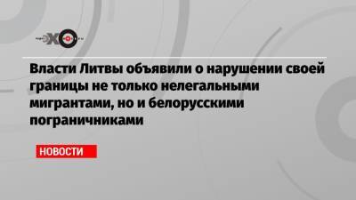 Ингрида Шимоните - Власти Литвы объявили о нарушении своей границы не только нелегальными мигрантами, но и белорусскими пограничниками - echo.msk.ru - Белоруссия - Литва - Вильнюс